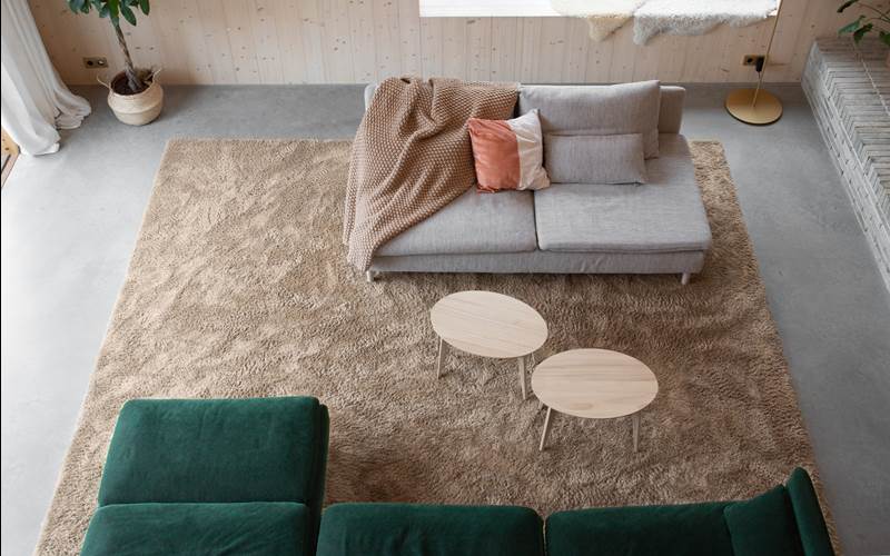 Bichon Golden 239872 Vardagsrum Liggande Ovan